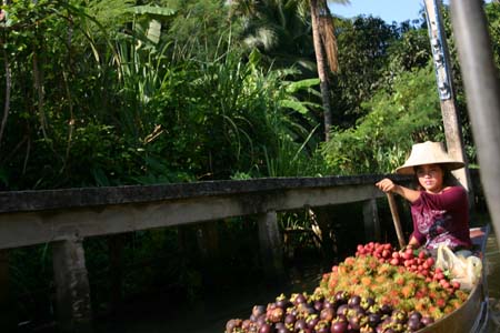 Elles sont des centain.. Tha�lande - Tourisme - 